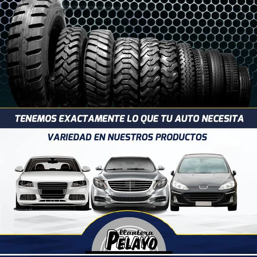 Tenemos exactamente lo que tu auto necesita: variedad en nuestros productos